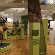 Ausstellung: BrookHus, Naturschutzzentrum Duvenstedter Brook, Hamburg